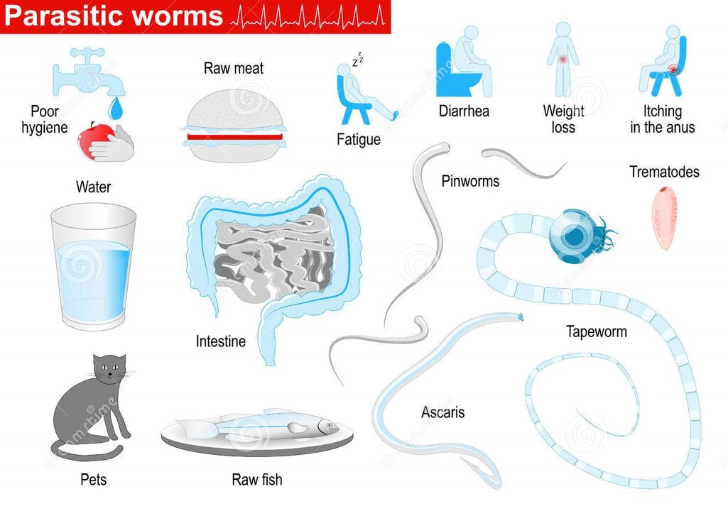 Parasiten a Symptomer