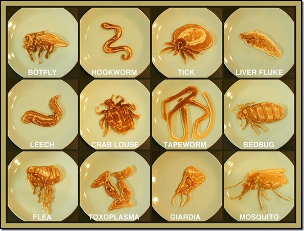 Parasites