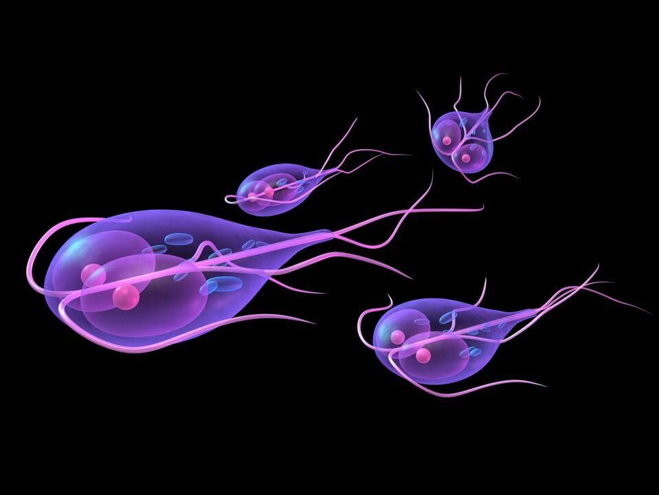Giardia aus dem mënschleche Kierper
