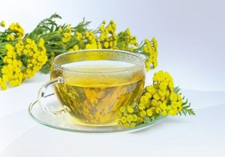 Tansy Infusioun hëlleft Parasiten am Kierper lass ze ginn